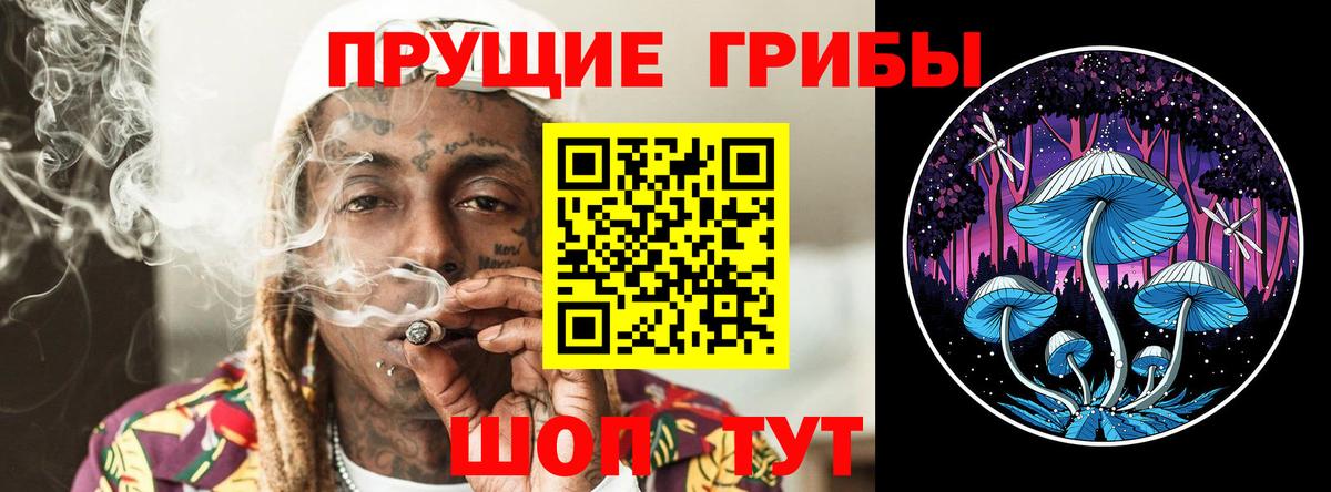 Бийск  Псилоцибиновые грибы Cubensis  закладки  Вход с VPN 